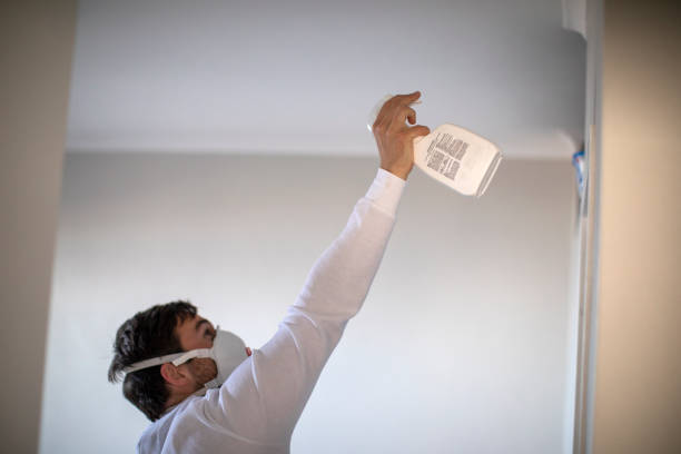Best Emergency Mold Removal  in Audubon, NJ