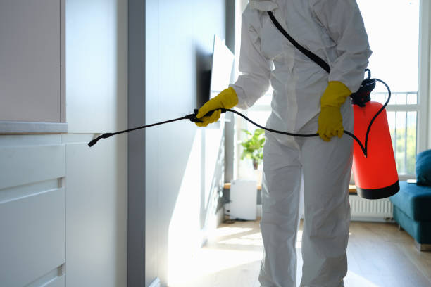 Best Certified Mold Removal  in Audubon, NJ