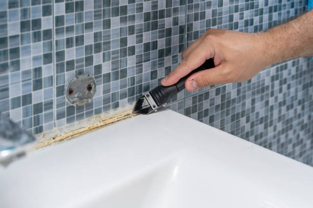 Best Affordable Mold Removal  in Audubon, NJ